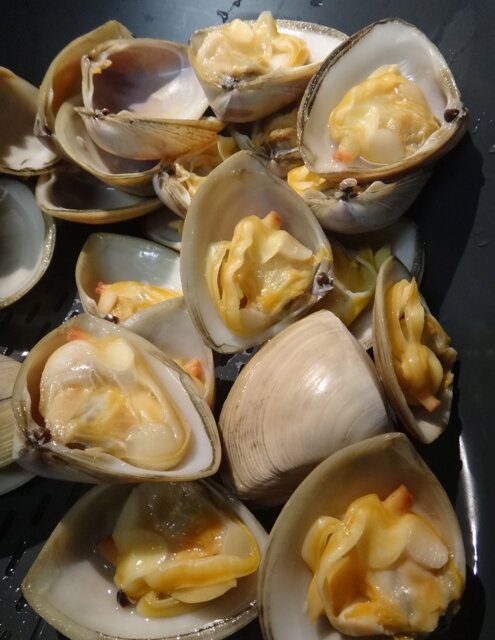 Clams