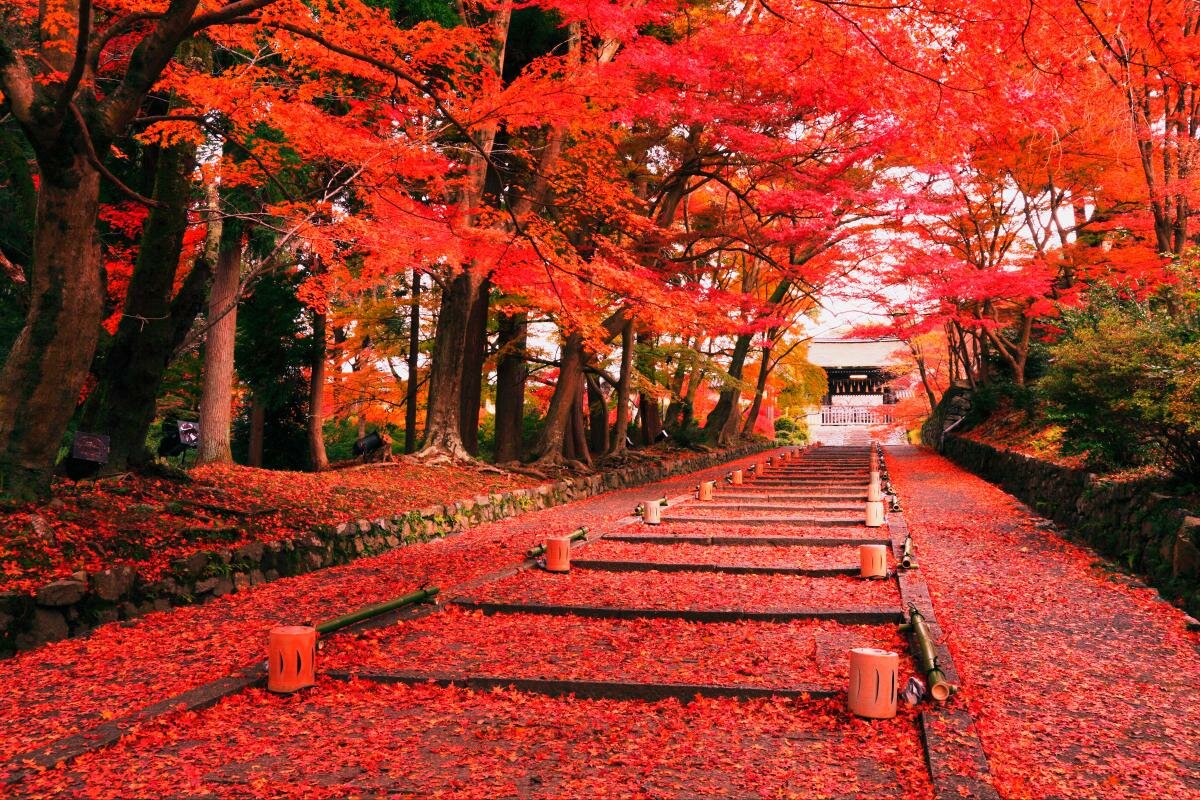 Autumn Japan